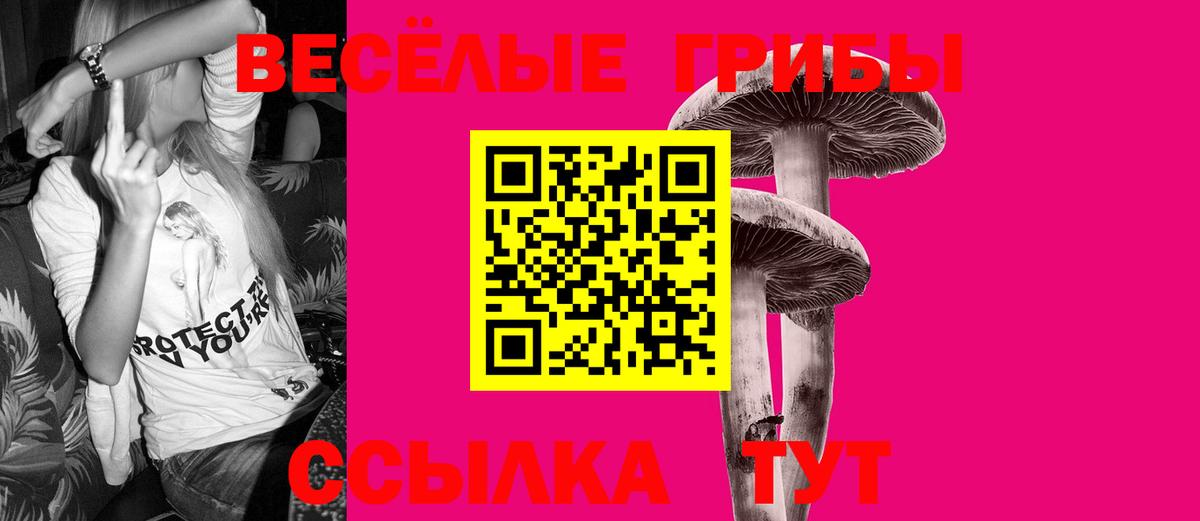 Оренбург  Псилоцибиновые грибы Magic Shrooms  Вход с VPN 
